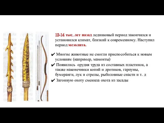 Санкт-Петербургская академия постдипломного педагогического образования 12-14 тыс. лет назад ледниковый