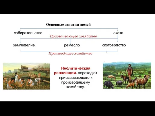 Основные занятия людей Неолитическая революция- переход от присваивающего к производящему хозяйству.