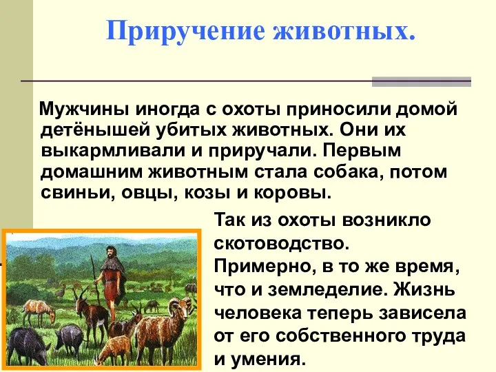 Приручение животных. Мужчины иногда с охоты приносили домой детёнышей убитых