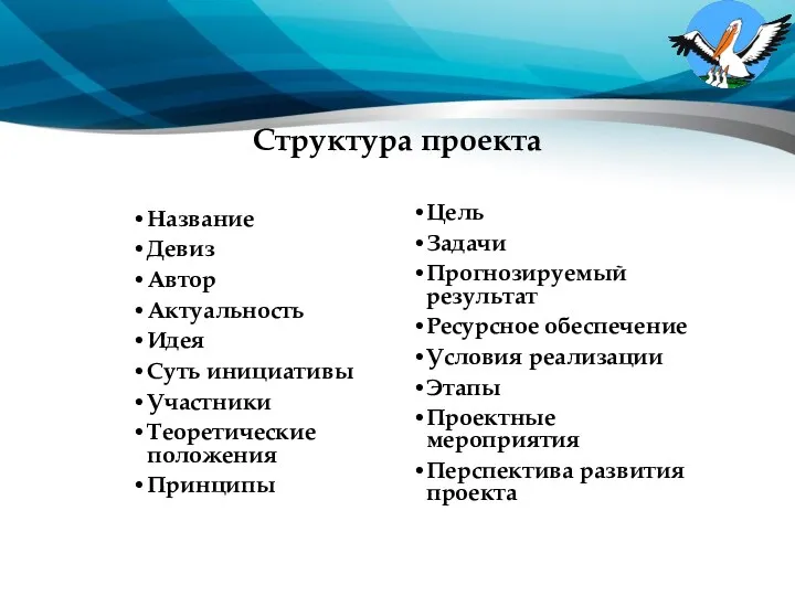 Структура проекта Название Девиз Автор Актуальность Идея Суть инициативы Участники