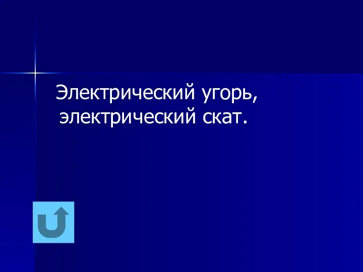 Электрический угорь, электрический скат.