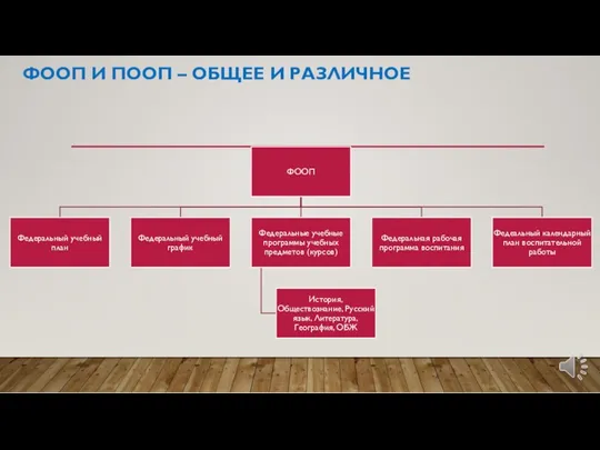 ФООП И ПООП – ОБЩЕЕ И РАЗЛИЧНОЕ