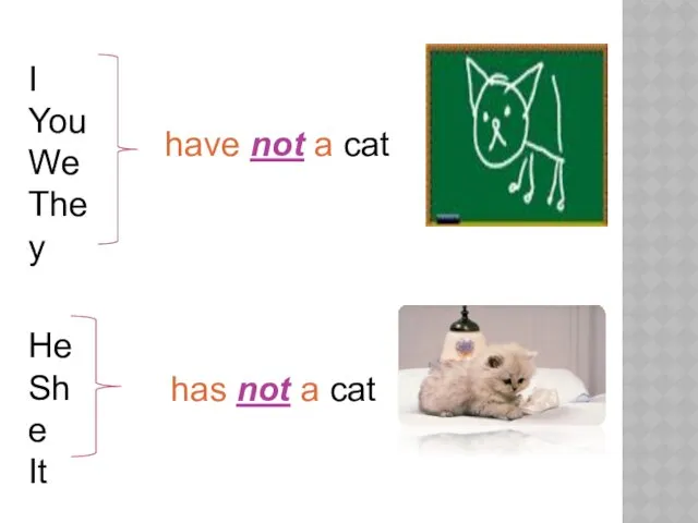 I You We They have not a cat He She It has not a cat