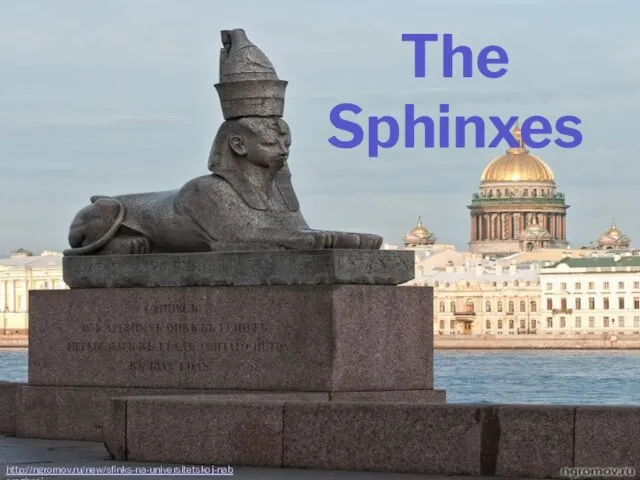 http://ngromov.ru/new/sfinks-na-universitetskoj-naberezhnoj The Sphinxes