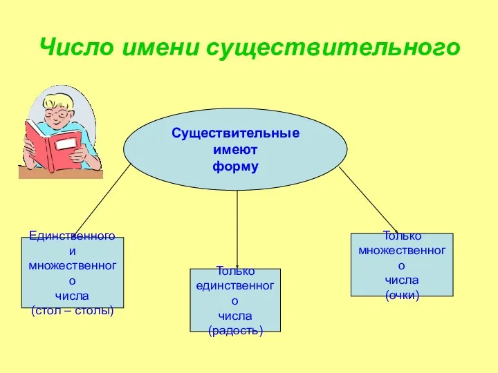 Число имени существительного Существительные имеют форму Единственного и множественного числа