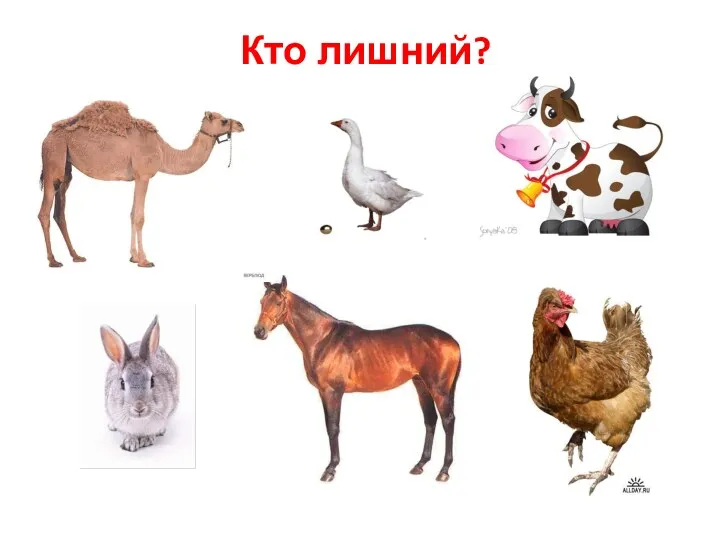 Кто лишний?