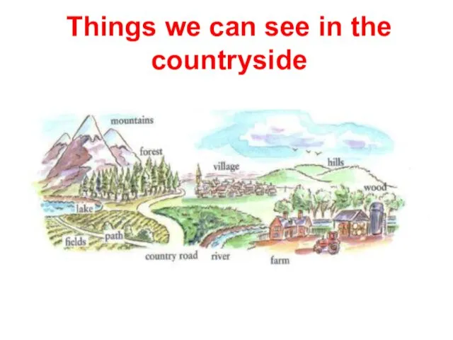 Things we can see in the countryside