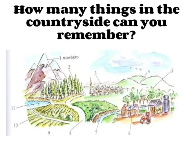 How many things in the countryside can you remember?