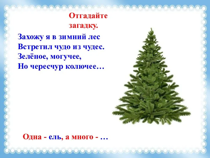 Захожу я в зимний лес Встретил чудо из чудес. Зелёное,