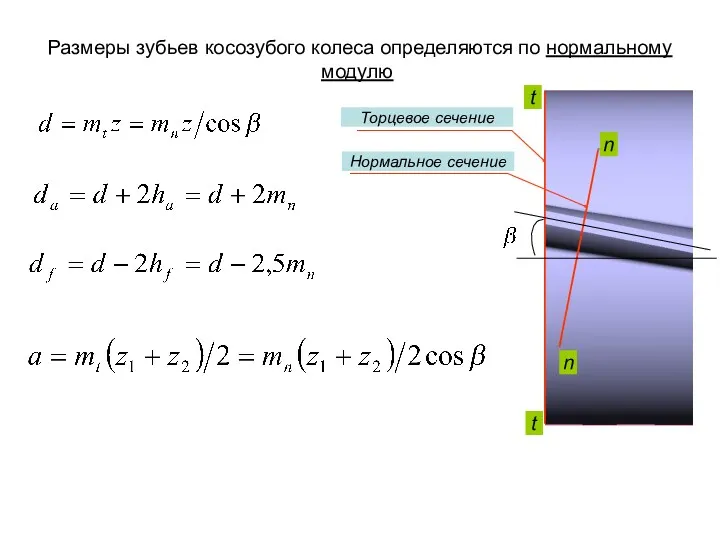 Размеры зубьев косозубого колеса определяются по нормальному модулю n n t t Торцевое сечение Нормальное сечение