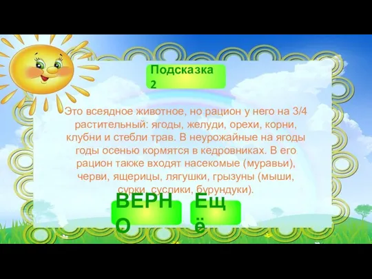 Это всеядное животное, но рацион у него на 3/4 растительный: ягоды, желуди, орехи,