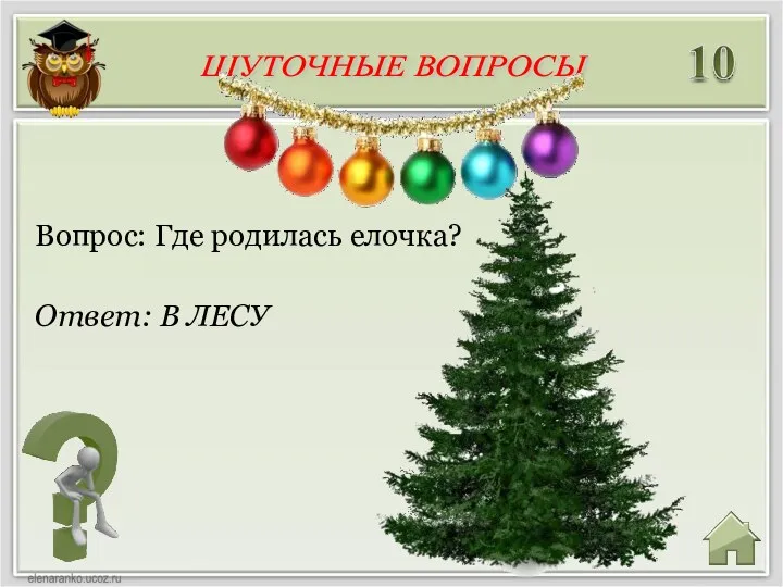 Ответ: В ЛЕСУ Вопрос: Где родилась елочка? ШУТОЧНЫЕ ВОПРОСЫ