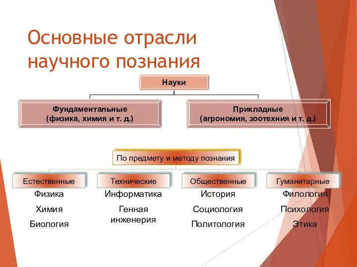 Основные отрасли научного познания Физика Химия Биология Информатика Генная инженерия История Социология Политология Филология Психология Этика