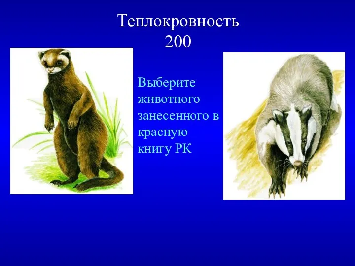 Теплокровность 200 Выберите животного занесенного в красную книгу РК