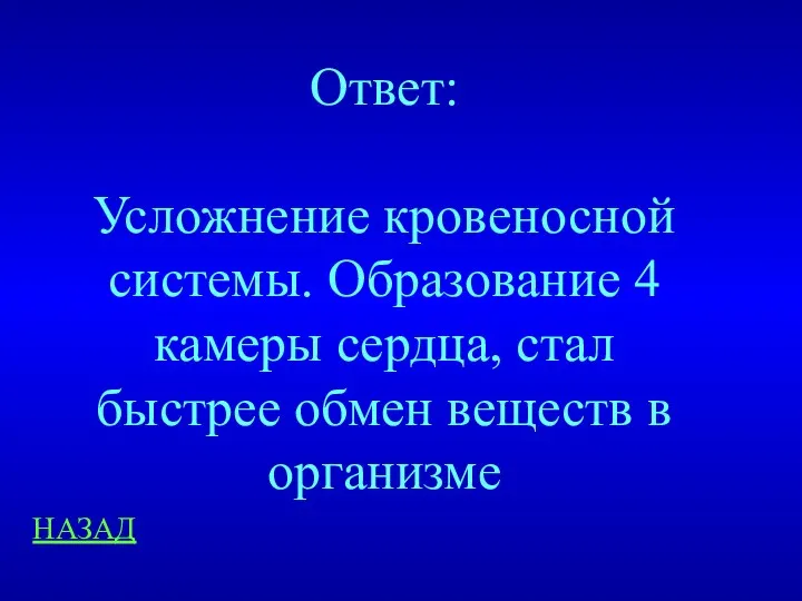 НАЗАД Ответ: Усложнение кровеносной системы. Образование 4 камеры сердца, стал быстрее обмен веществ в организме