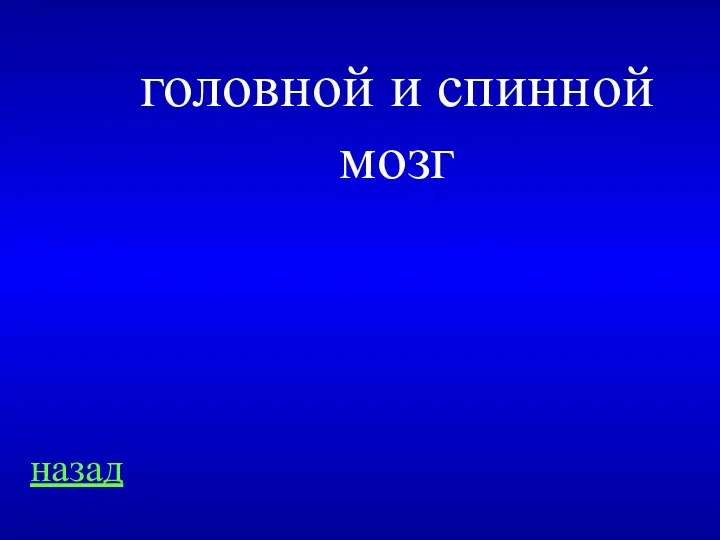 назад головной и спинной мозг