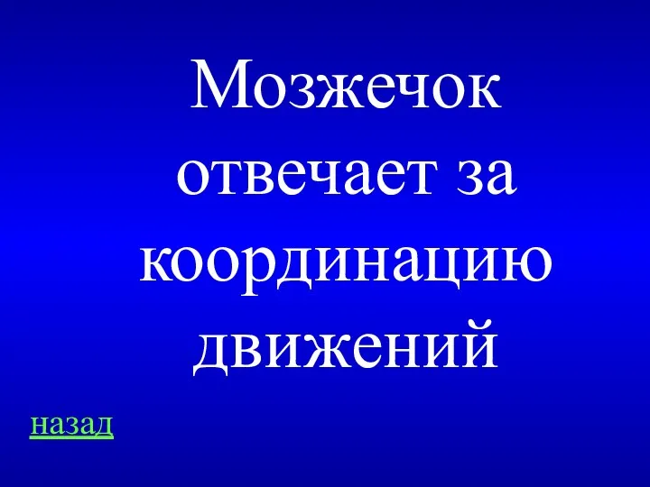 назад Мозжечок отвечает за координацию движений