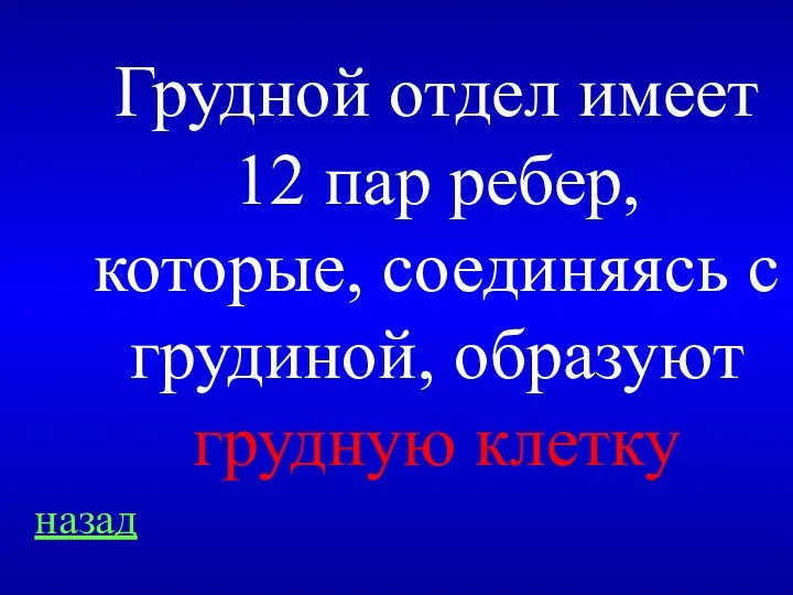 назад Грудной отдел имеет 12 пар ребер, которые, соединяясь с грудиной, образуют грудную клетку