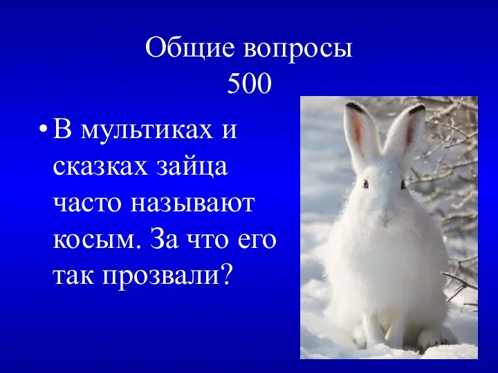 Общие вопросы 500 В мультиках и сказках зайца часто называют косым. За что его так прозвали?