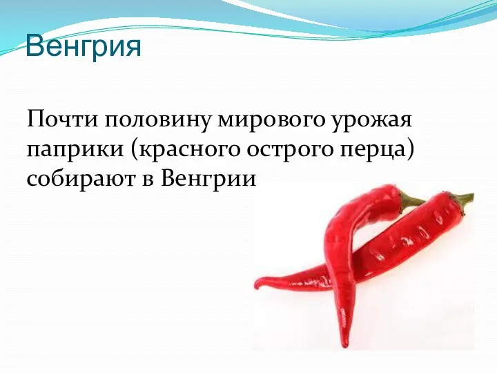 Венгрия Почти половину мирового урожая паприки (красного острого перца) собирают в Венгрии