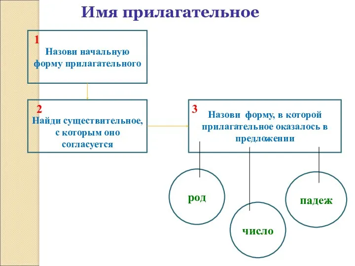 Имя прилагательное Назови начальную форму прилагательного Найди существительное, с которым