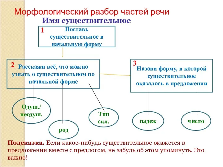 Имя существительное Подсказка. Если какое-нибудь существительное окажется в предложении вместе