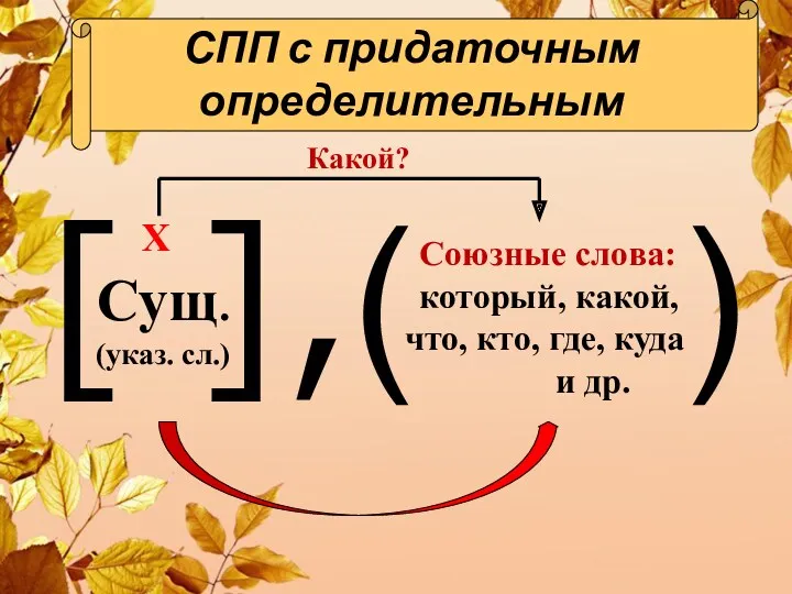 [ ],( ) Сущ. (указ. сл.) Союзные слова: который, какой,