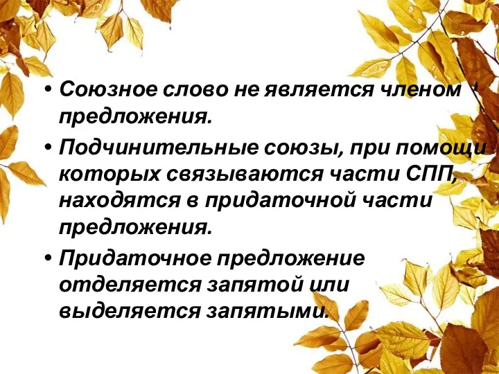 Союзное слово не является членом предложения. Подчинительные союзы, при помощи