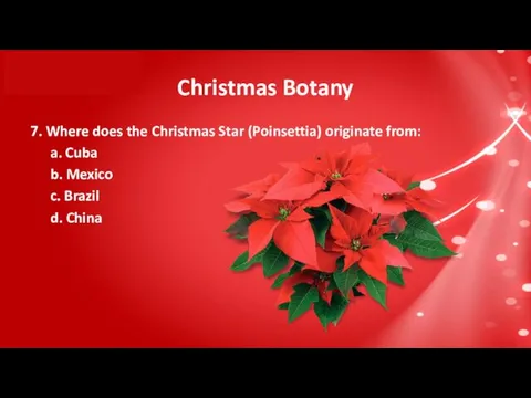 Christmas Botany 7. Where does the Christmas Star (Poinsettia) originate