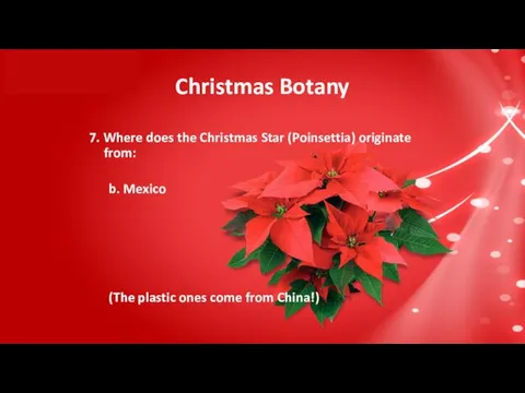 Christmas Botany 7. Where does the Christmas Star (Poinsettia) originate