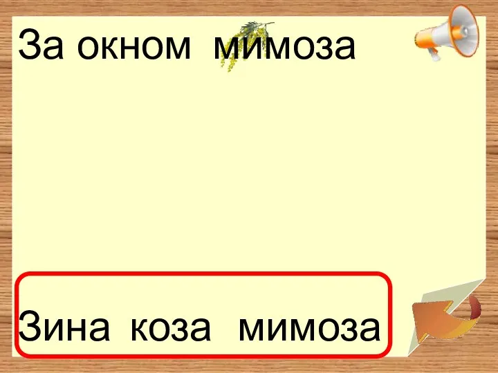 За окном . мимоза коза Зина мимоза