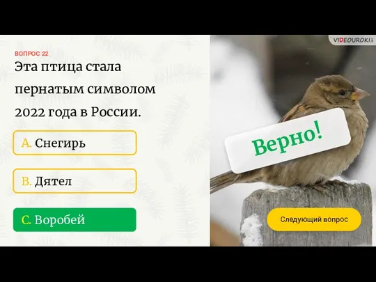 ВОПРОС 22 C. Воробей Верно! A. Снегирь B. Дятел Следующий вопрос Эта птица