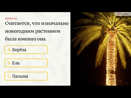 ВОПРОС 25 A. Берёза B. Ель C. Пальма Считается, что изначально новогодним растением была именно она.