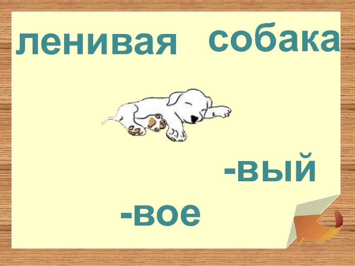 ленивая -вое -вый собака