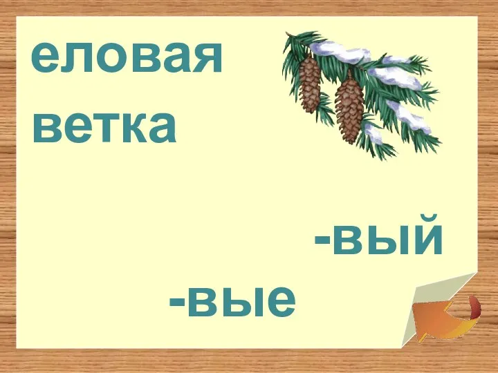 еловая -вые ветка -вый