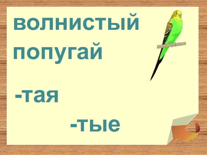 волнистый -тые попугай -тая