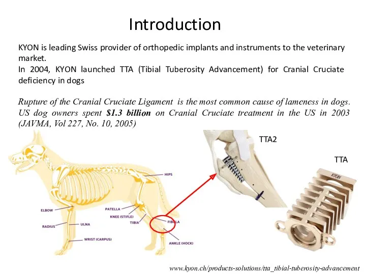 Introduction Rupture of the Cranial Cruciate Ligament is the most