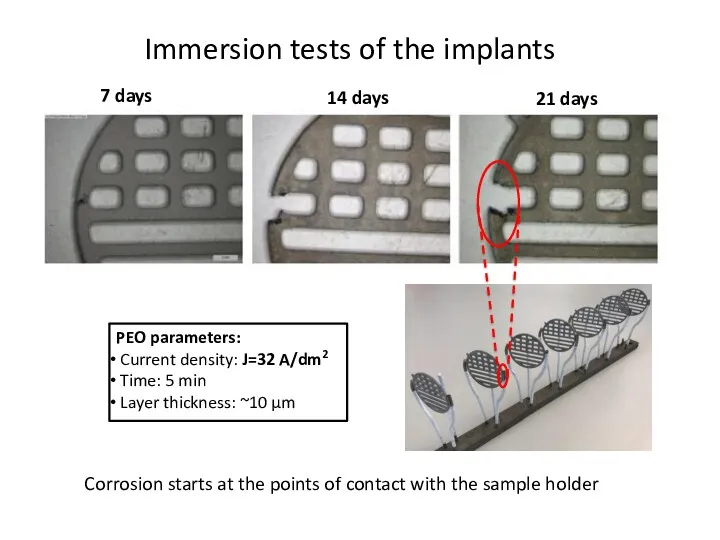 Immersion tests of the implants