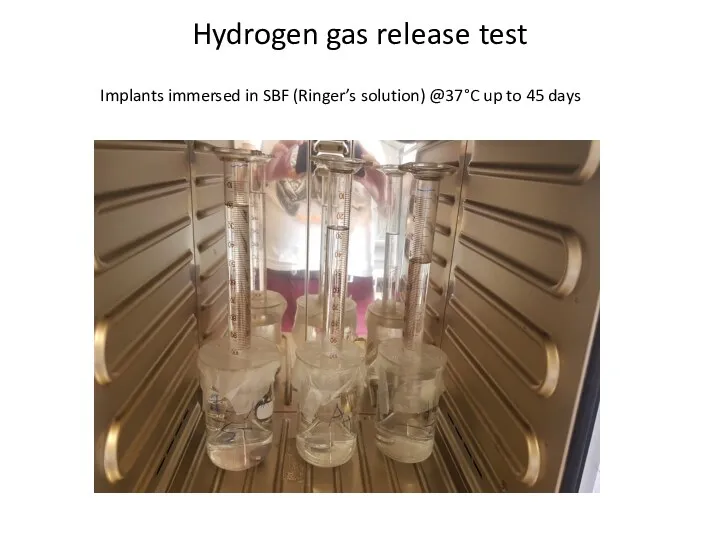 Hydrogen gas release test Implants immersed in SBF (Ringer’s solution) @37°C up to 45 days