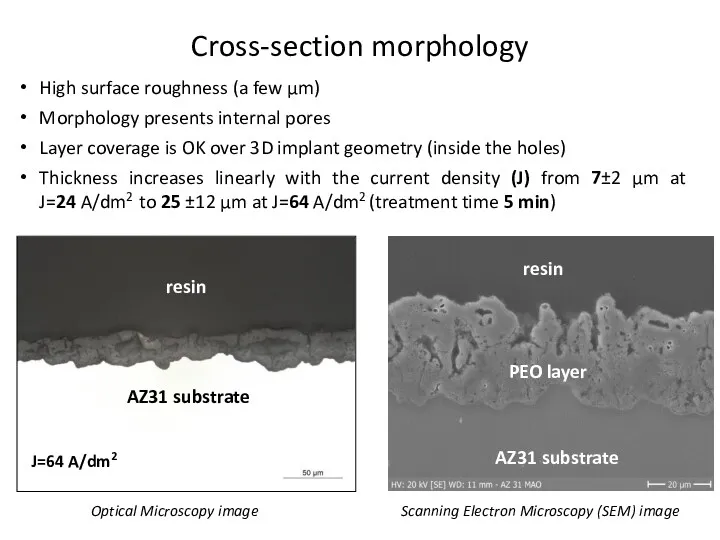 Cross-section morphology High surface roughness (a few µm) Morphology presents