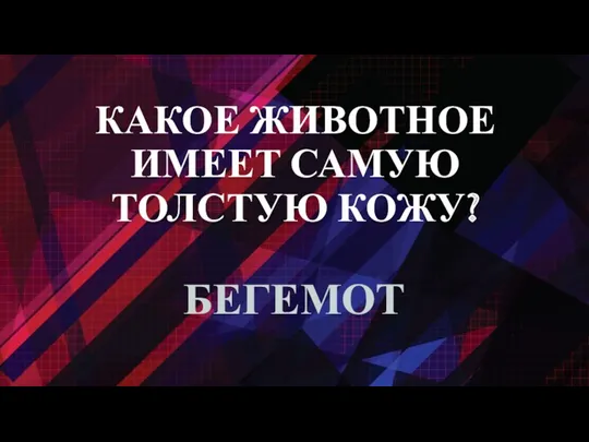 КАКОЕ ЖИВОТНОЕ ИМЕЕТ САМУЮ ТОЛСТУЮ КОЖУ? БЕГЕМОТ