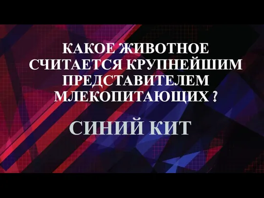 КАКОЕ ЖИВОТНОЕ СЧИТАЕТСЯ КРУПНЕЙШИМ ПРЕДСТАВИТЕЛЕМ МЛЕКОПИТАЮЩИХ ? СИНИЙ КИТ