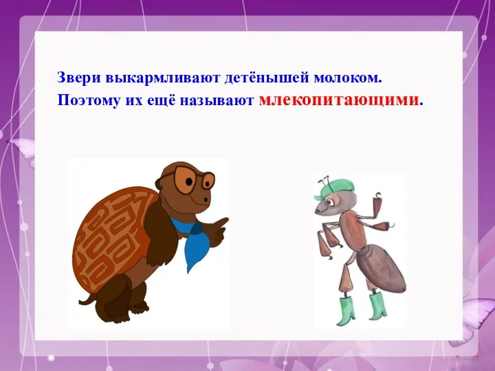 Звери выкармливают детёнышей молоком. Поэтому их ещё называют млекопитающими.