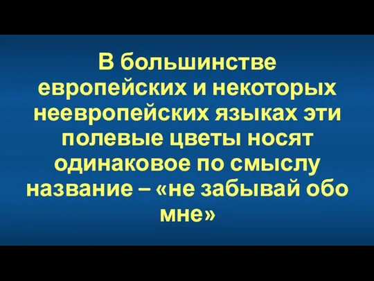 В большинстве европейских и некоторых неевропейских языках эти полевые цветы