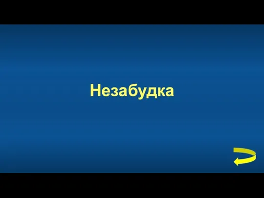 Незабудка