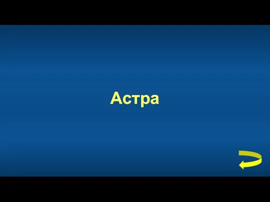 Астра