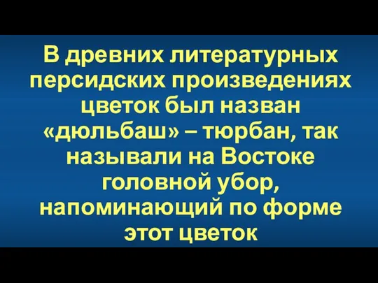 В древних литературных персидских произведениях цветок был назван «дюльбаш» –