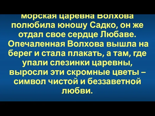 По древнерусской легенде морская царевна Волхова полюбила юношу Садко, он