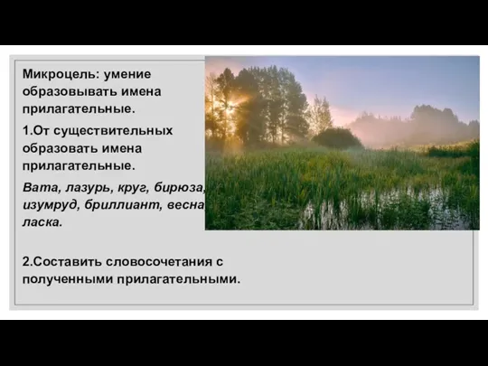 Микроцель: умение образовывать имена прилагательные. 1.От существительных образовать имена прилагательные.