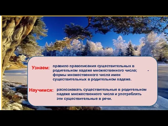 ТЕМА . Узнаем: Научимся: правило правописания существительных в родительном падеже